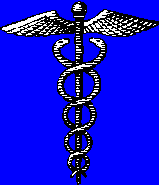 GAYE HANSON, MINNESOTA, PROFESSIONAL, HEALTHCARE, MEDICAL, KEYNOTE, SPEAKER